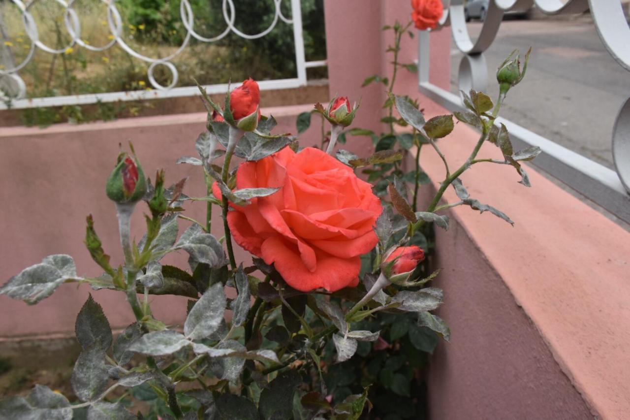 Sa Mariposa Bed & Breakfast Muravera Luaran gambar