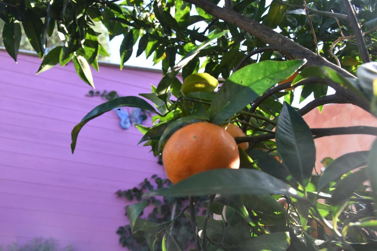 Sa Mariposa Bed & Breakfast Muravera Luaran gambar