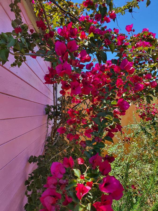 Sa Mariposa Bed & Breakfast Muravera Luaran gambar